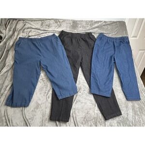 Lot American Sweetheart L Sz 12 P Pull On Elastic Waist Denim 2 Crop & 1 Pant